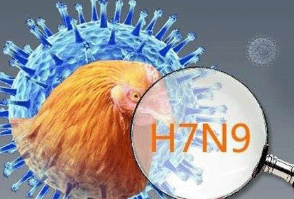廪һ˸ȾH7N9ȷﲡ
