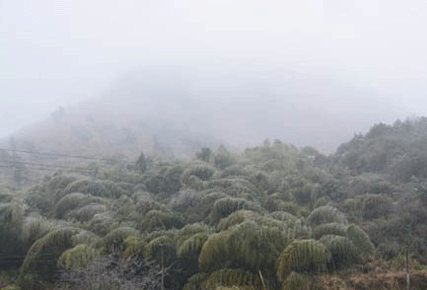 Ϯһ죺廪3.1